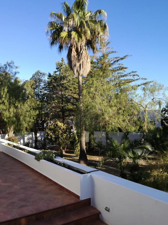 Villa Ca Daniela San Antonio  Ngoại thất bức ảnh
